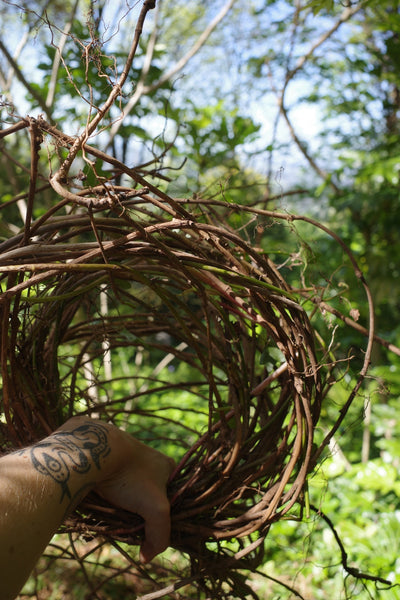 Playing with plants- a soft intro to basketry techniques